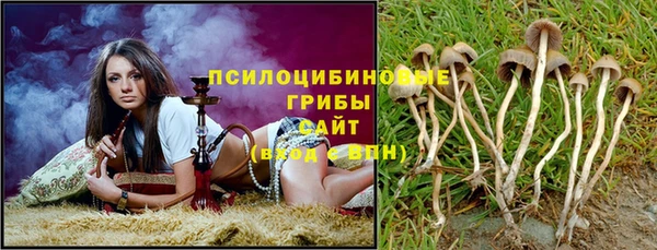 меф Алзамай